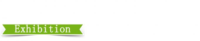 25T yüksek kontrol doğruluğu Plaka vulkanize basıncı 4