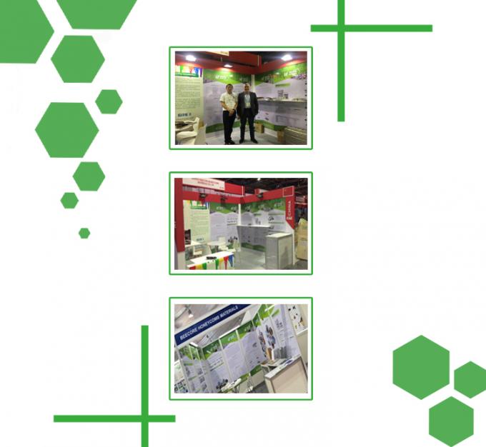 25T yüksek kontrol doğruluğu Plaka vulkanize basıncı 5