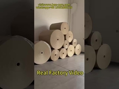 Bal çekirdeği panelleri üretimi fabrikası