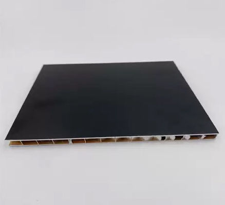 Projeksiyon Ekranı Alüminyum Bal Köpeği Yaprak Ultra İnce 3048x1200mm