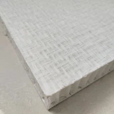 Kamyon gövdesi için resorcinol gel kaplama FRP bal çekirdeği panelleri 2000x10000mm