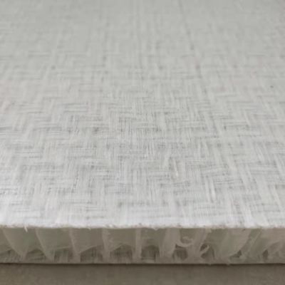 Kamyon gövdesi için resorcinol gel kaplama FRP bal çekirdeği panelleri 2000x10000mm