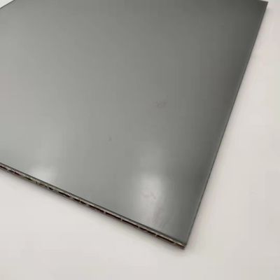 Projeksiyon Ekranı Alüminyum Bal Köpeği Yaprak Ultra İnce 3048x1200mm